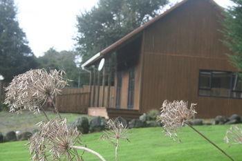 Ariari Lodge, Lake Rotorangi Stratford Exterior photo